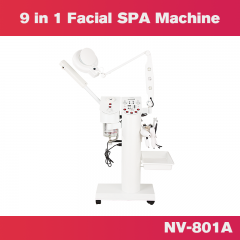 9 in 1 Facial SPA Machine